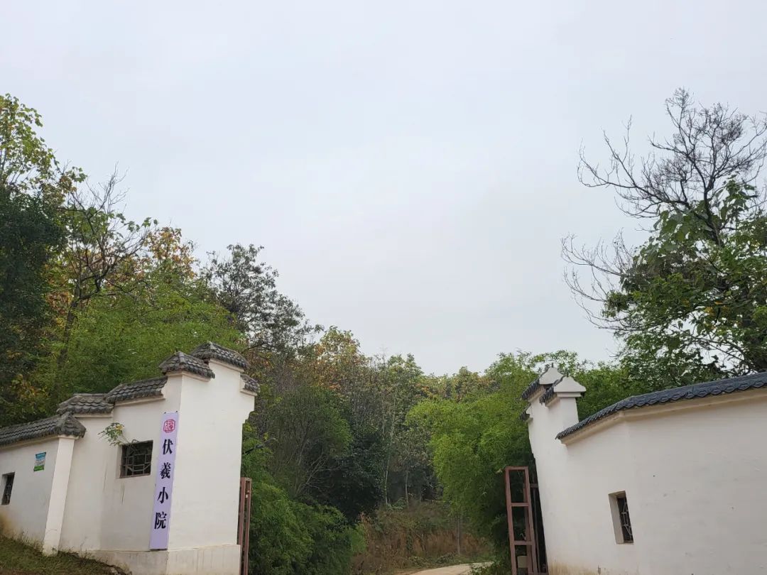 圣水寺旁，城市之外▏新零售为会员打造“桃花源”——伏羲小院